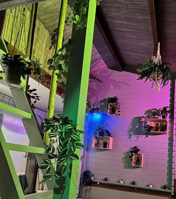 Jungle Style Lodge With Jacuzzi ,Sauna And Garden Near Amsterdam Vijfhuizen Exterior foto